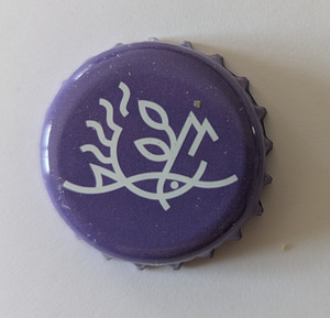 Yolo violet, 2025-08